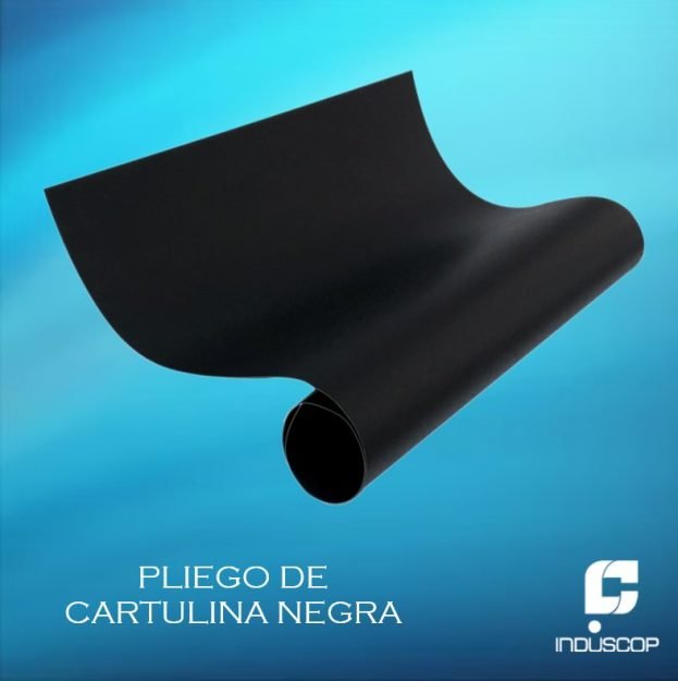 PLIEGO DE CARTULINA NEGRA